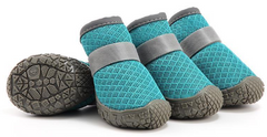 Pet Shoes