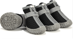 Pet Shoes